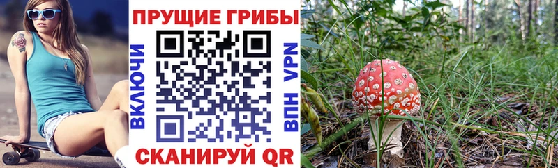 Галлюциногенные грибы Psilocybe  Бахчисарай 